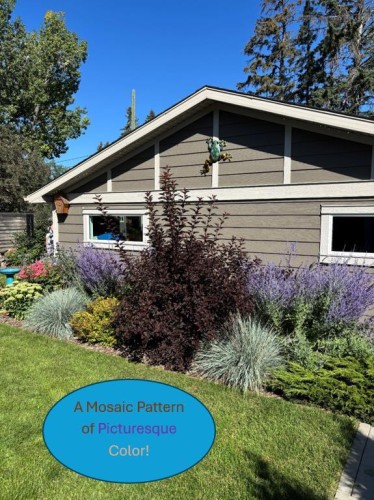 716 55 Avenue Sw, Calgary, AB - Outdoor