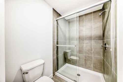 316 Cornerbrook Drive Ne, Calgary, AB - Indoor Photo Showing Bathroom