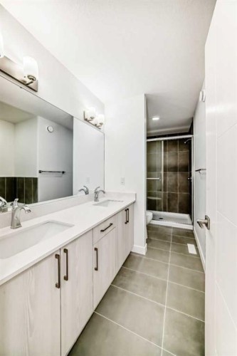 316 Cornerbrook Drive Ne, Calgary, AB - Indoor Photo Showing Bathroom