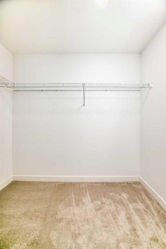 316 Cornerbrook Drive Ne, Calgary, AB - Indoor With Storage