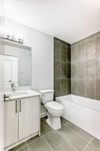 316 Cornerbrook Drive Ne, Calgary, AB - Indoor Photo Showing Bathroom