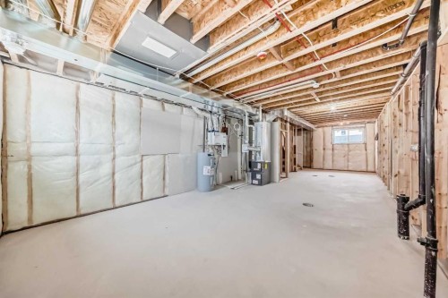 316 Cornerbrook Drive Ne, Calgary, AB - Indoor Photo Showing Basement