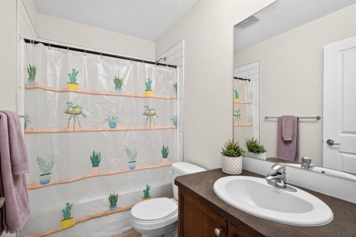 2002-1001 8 Street Nw, Airdrie, AB - Indoor Photo Showing Bathroom