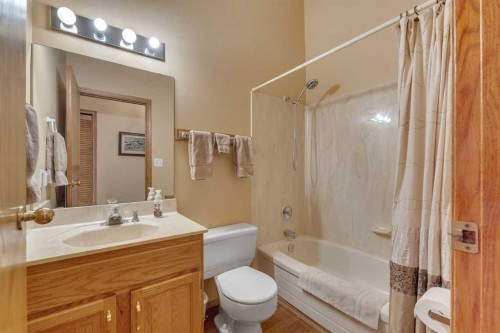 283058 Township Road 245A, Rural Rocky View County, AB - Indoor Photo Showing Bathroom