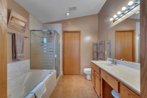 283058 Township Road 245A, Rural Rocky View County, AB - Indoor Photo Showing Bathroom