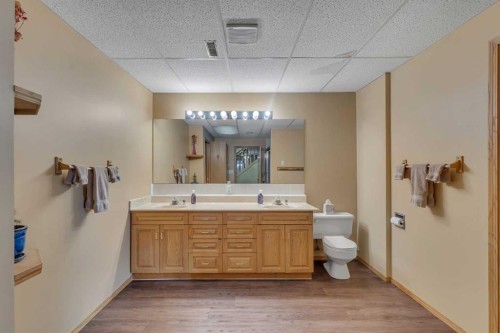 283058 Township Road 245A, Rural Rocky View County, AB - Indoor Photo Showing Bathroom