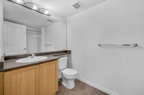 222-428 Chaparral Ravine View Se, Calgary, AB - Indoor Photo Showing Bathroom