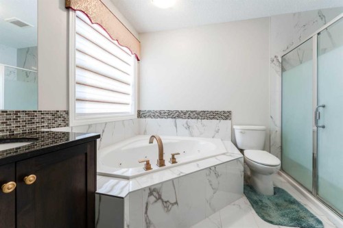 47 Saddlelake Way Ne, Calgary, AB - Indoor Photo Showing Bathroom