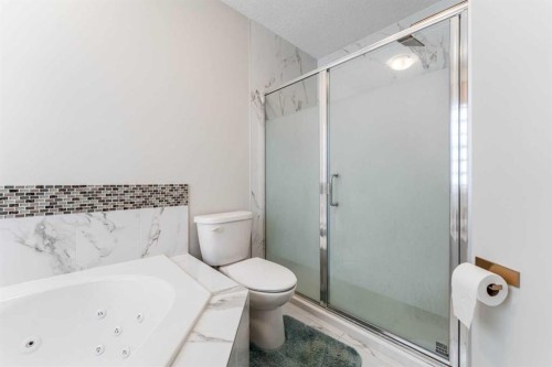 47 Saddlelake Way Ne, Calgary, AB - Indoor Photo Showing Bathroom