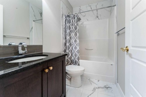 47 Saddlelake Way Ne, Calgary, AB - Indoor Photo Showing Bathroom