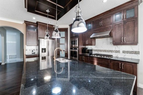 47 Saddlelake Way Ne, Calgary, AB - Indoor Photo Showing Kitchen With Double Sink With Upgraded Kitchen