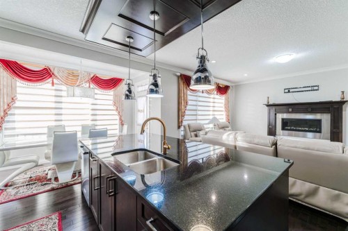 47 Saddlelake Way Ne, Calgary, AB - Indoor Photo Showing Kitchen With Fireplace With Double Sink