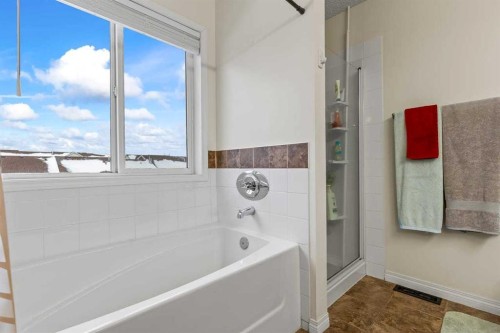 155 Citadel Drive Nw, Calgary, AB - Indoor Photo Showing Bathroom