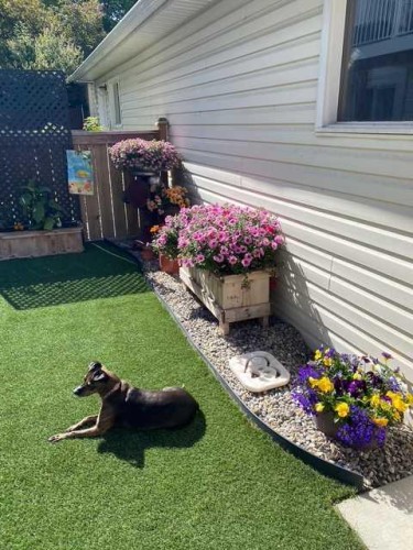 155 Citadel Drive Nw, Calgary, AB - Outdoor With Exterior