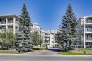 219-260 Shawville Way Se, Calgary, AB  - Outdoor With Balcony With Facade 