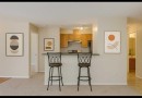 219-260 Shawville Way Se, Calgary, AB  - Indoor Photo Showing Kitchen 