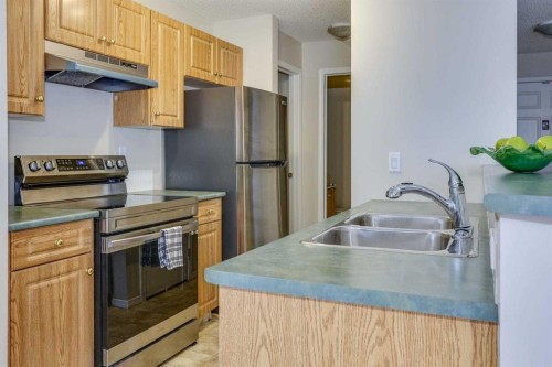 219-260 Shawville Way Se, Calgary, AB - Indoor Photo Showing Kitchen With Double Sink