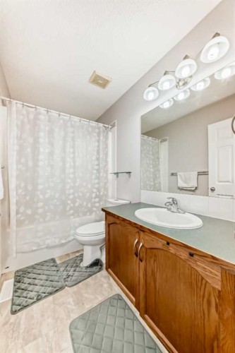 206 Evansmeade Close Nw, Calgary, AB - Indoor Photo Showing Bathroom