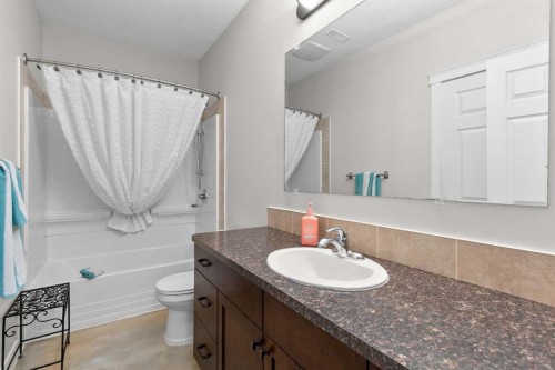 6 Vera Close, Olds, AB - Indoor Photo Showing Bathroom