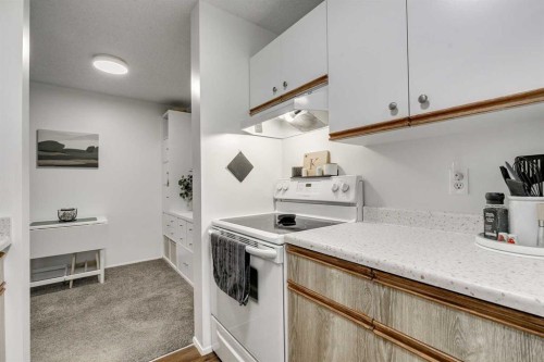 112-20 Dover Point Se, Calgary, AB - Indoor Photo Showing Kitchen