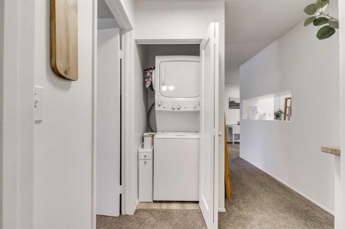 112-20 Dover Point Se, Calgary, AB - Indoor Photo Showing Laundry Room
