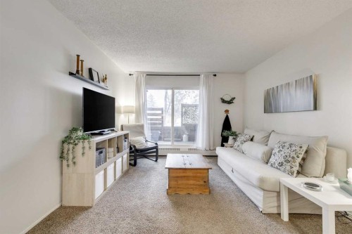 112-20 Dover Point Se, Calgary, AB - Indoor Photo Showing Living Room