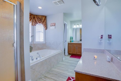 77 Saddleland Drive Ne, Calgary, AB - Indoor Photo Showing Bathroom