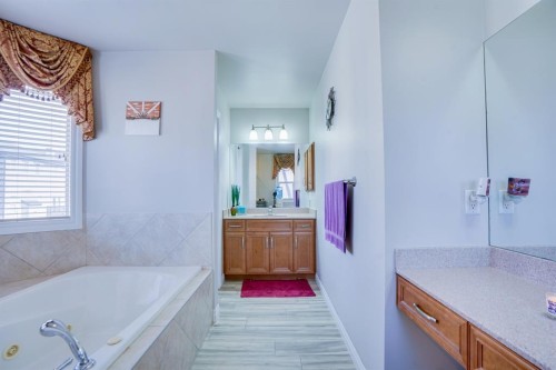 77 Saddleland Drive Ne, Calgary, AB - Indoor Photo Showing Bathroom