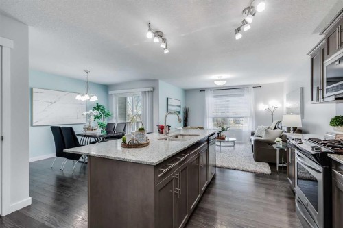 251 Kingsbridge Road Se, Airdrie, AB - Indoor Photo Showing Kitchen With Upgraded Kitchen