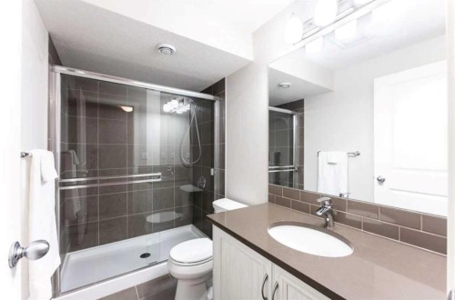 12 Legacy Main Street Se, Calgary, AB - Indoor Photo Showing Bathroom