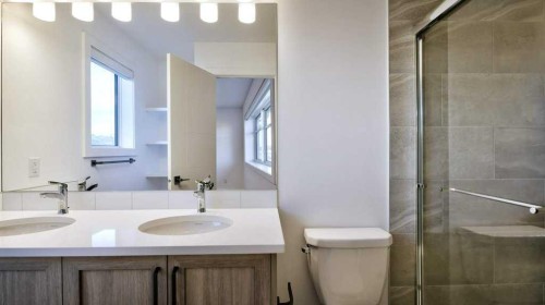 774 Wolf Willow Boulevard Se, Calgary, AB - Indoor Photo Showing Bathroom