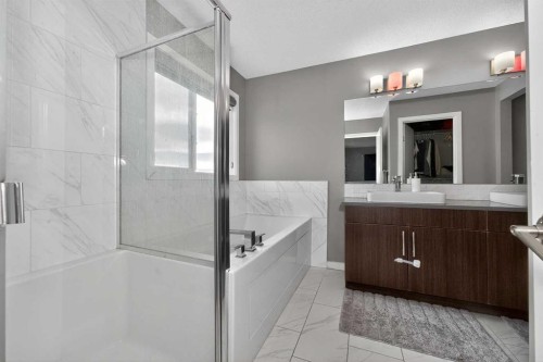 45 Redstone Drive Ne, Calgary, AB - Indoor Photo Showing Bathroom