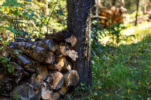 231031 Forestry Way, Bragg Creek, AB - Outdoor