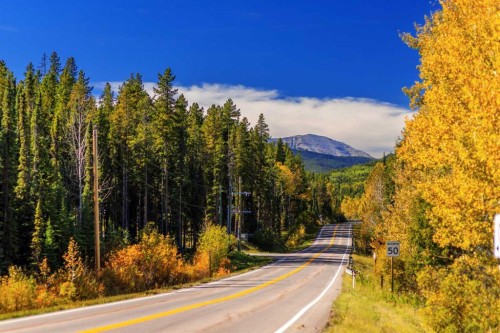 231031 Forestry Way, Bragg Creek, AB - Outdoor With View