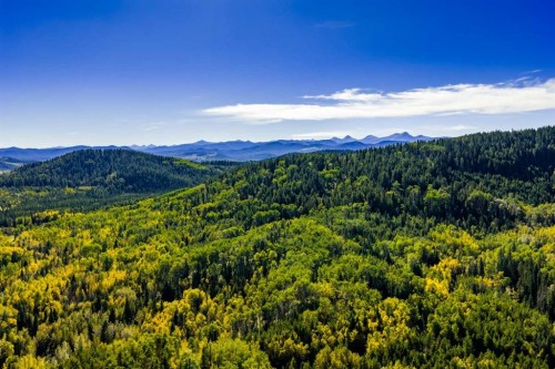 231031 Forestry Way, Bragg Creek, AB - Outdoor With View