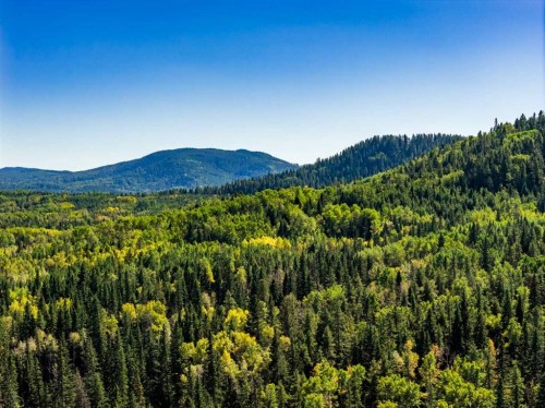 231031 Forestry Way, Bragg Creek, AB - Outdoor With View