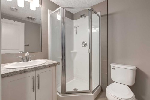 106 Silverado Skies Drive Sw, Calgary, AB - Indoor Photo Showing Bathroom