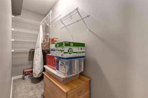 106 Silverado Skies Drive Sw, Calgary, AB - Indoor