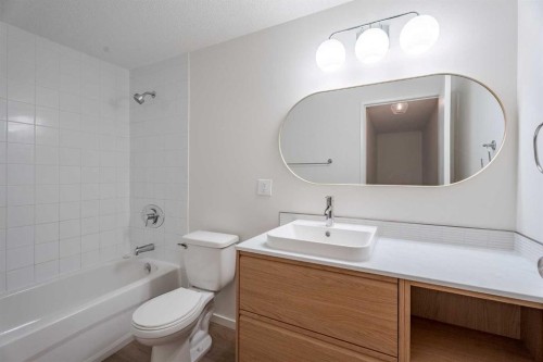 110-330 Canterbury Drive Sw, Calgary, AB - Indoor Photo Showing Bathroom