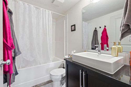 5312-155 Skyview Ranch Way Ne, Calgary, AB - Indoor Photo Showing Bathroom