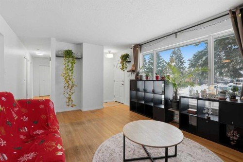 67 Margate Place Ne, Calgary, AB - Indoor Photo Showing Living Room