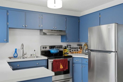 67 Margate Place Ne, Calgary, AB - Indoor Photo Showing Kitchen With Double Sink