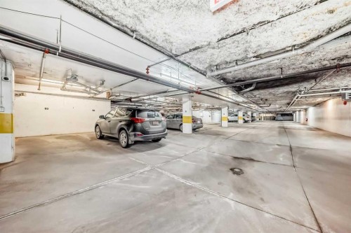 103-10 Auburn Bay Link Se, Calgary, AB - Indoor Photo Showing Garage