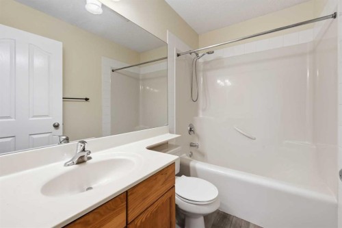 83 Taralea Crescent Ne, Calgary, AB - Indoor Photo Showing Bathroom