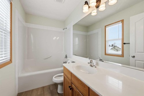 83 Taralea Crescent Ne, Calgary, AB - Indoor Photo Showing Bathroom