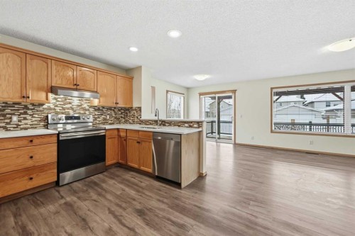 83 Taralea Crescent Ne, Calgary, AB - Indoor Photo Showing Kitchen With Double Sink