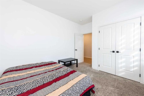97 Cornerbrook Road Ne, Calgary, AB - Indoor Photo Showing Bedroom
