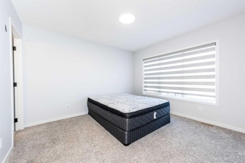 97 Cornerbrook Road Ne, Calgary, AB - Indoor Photo Showing Bedroom