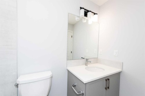 97 Cornerbrook Road Ne, Calgary, AB - Indoor Photo Showing Bathroom