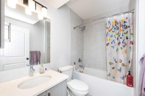 97 Cornerbrook Road Ne, Calgary, AB - Indoor Photo Showing Bathroom